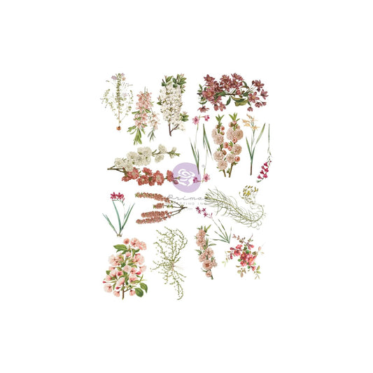 PRIMA MARKETING INC Iron On Transfer Design, Sharon Ziv Transfers Bloom 4 sheets
