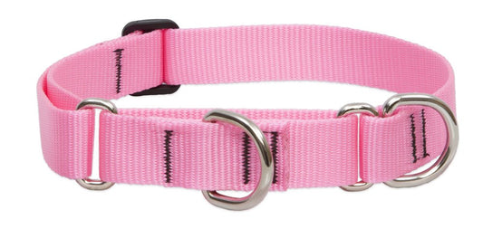 Lupine Pet Basics 1" Pink 15-22" Martingale Collar for Medium and Larger Dogs