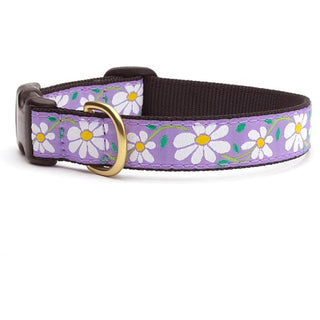 Up Country Animal Collar