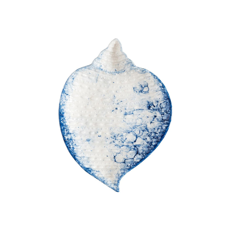 Beachcombers Blue Cassidae Shell Plate, 9.25-inch Length, Kitchen Accessories