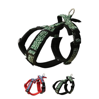 hakusan Animal Harness, L, Karakusa Black×Green