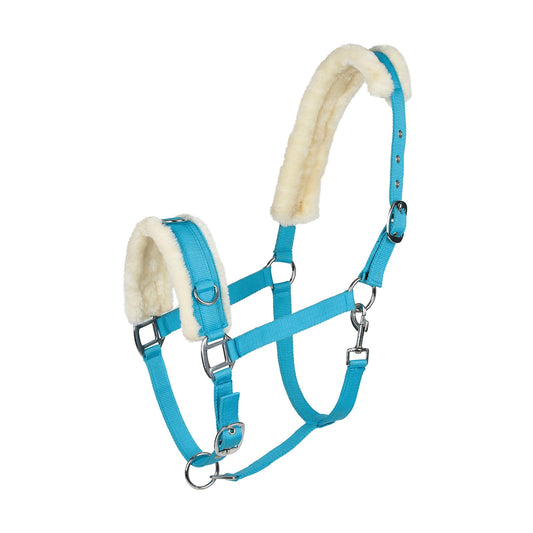 HORZE Lunging Cavesson - True Blue - Horse