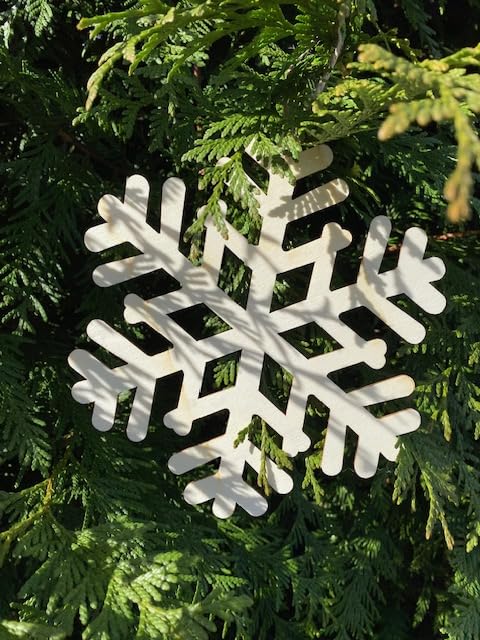 Holiday Decor Craft Wood, 8 Inch, natural