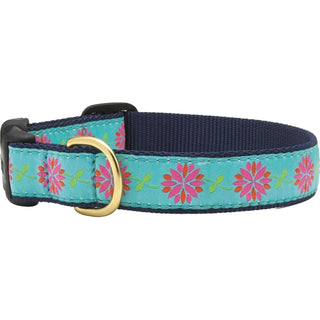 Up Country Animal Collar, Medium (Pack of 1), Dahlia Darling