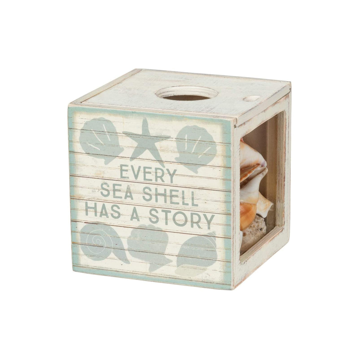 Primitives by Kathy Item Container, 4.25" x 4.25" x 4.25", Holder - Seashell