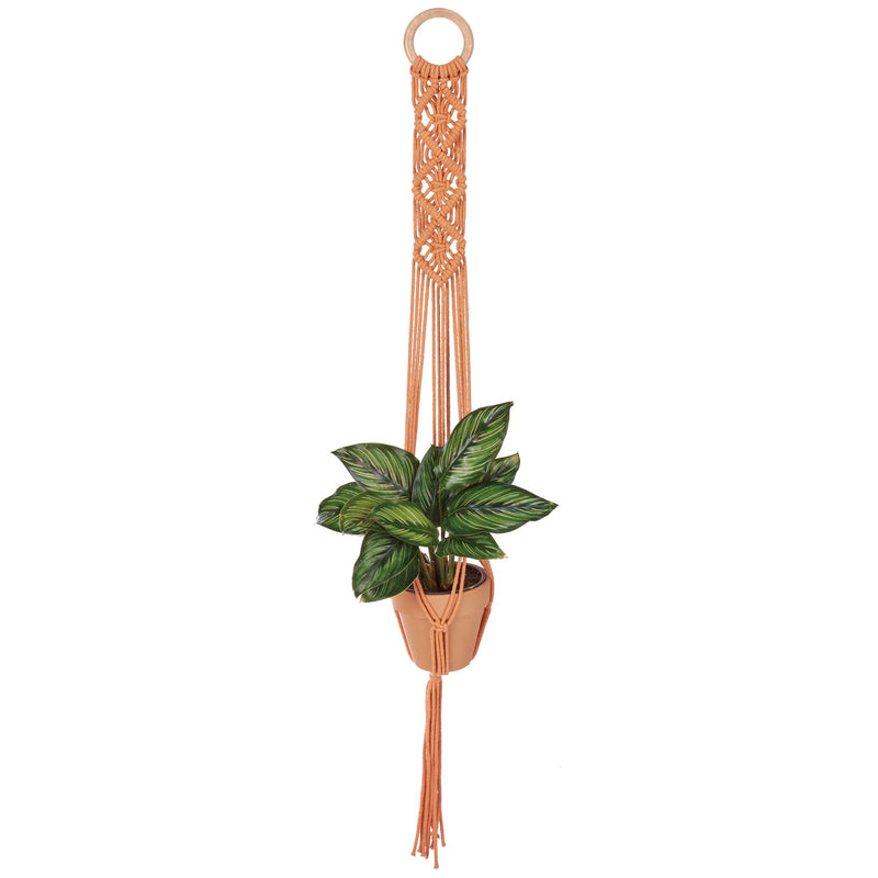 Primitives by Kathy Diamond Macrame Plant Hanger | Hanging Plant Pot Holder | 36"