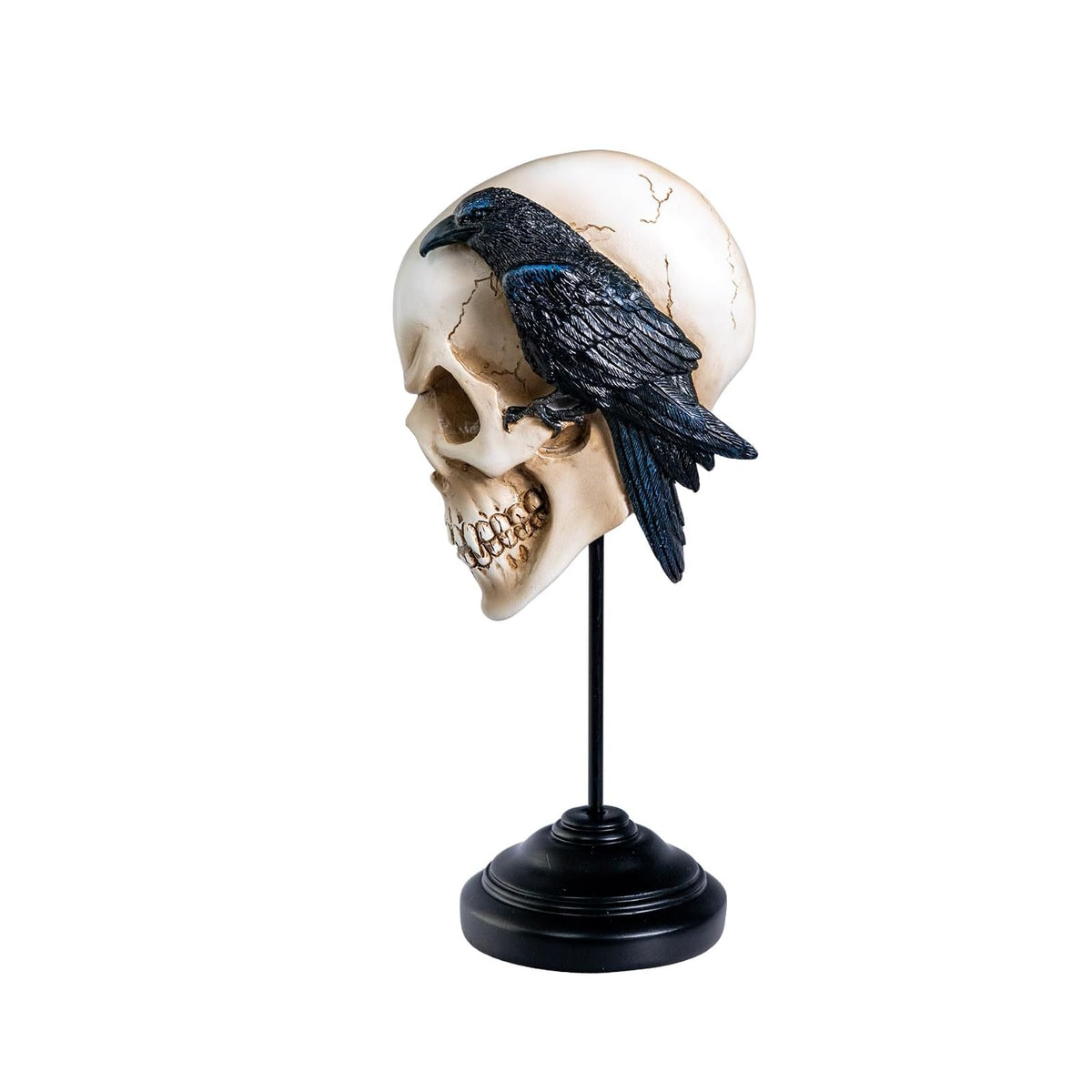 Pacific Giftware Sculpture, Medium, White, Bronze, Black