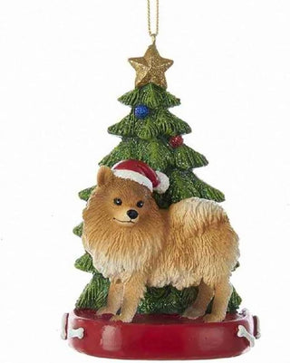 Kurt Adler POMERANIAN WITH CHRISTMAS TREE ANE LIGHTS ORNAMENT FOR PERSONALIZATION