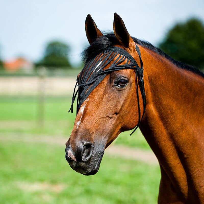 Horze Simple Lightweight Insect and Fly Veil for Sensitive Horses - No Halter Needed - Black - L