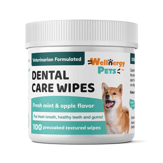 Wellnergy Pets Tooth Cleaning Agent, 1 Count (Pack of 100), Denta