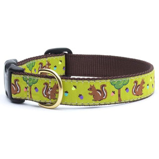 Up Country Animal Collar