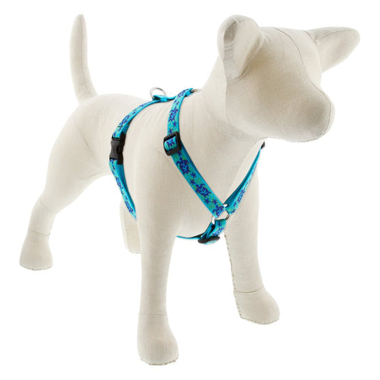 Lupine Pet Originals 3/4" Turtle Reef 20-32" Adjustable Roman Dog Harness for Medium Dogs