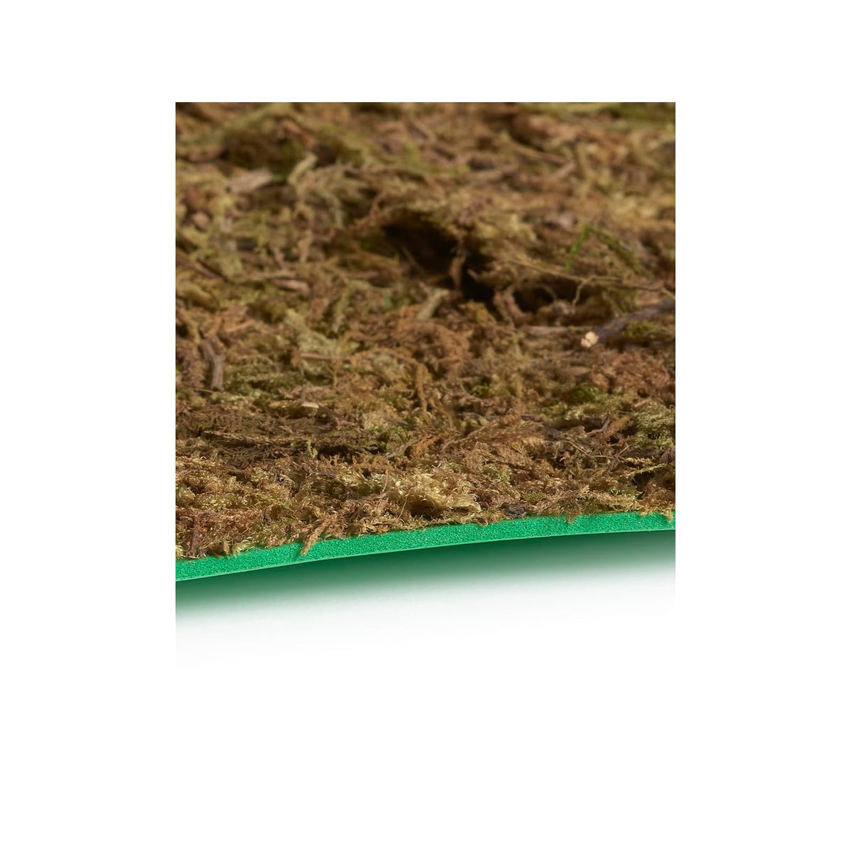 Fontanini Figurine, 5", Likely Matte Green-brown