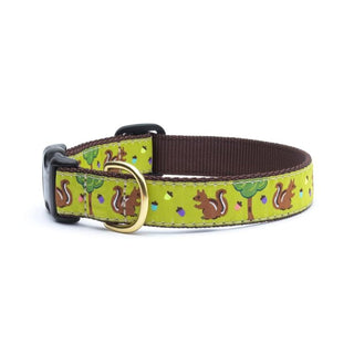 Up Country Animal Collar, Small, Multicolored
