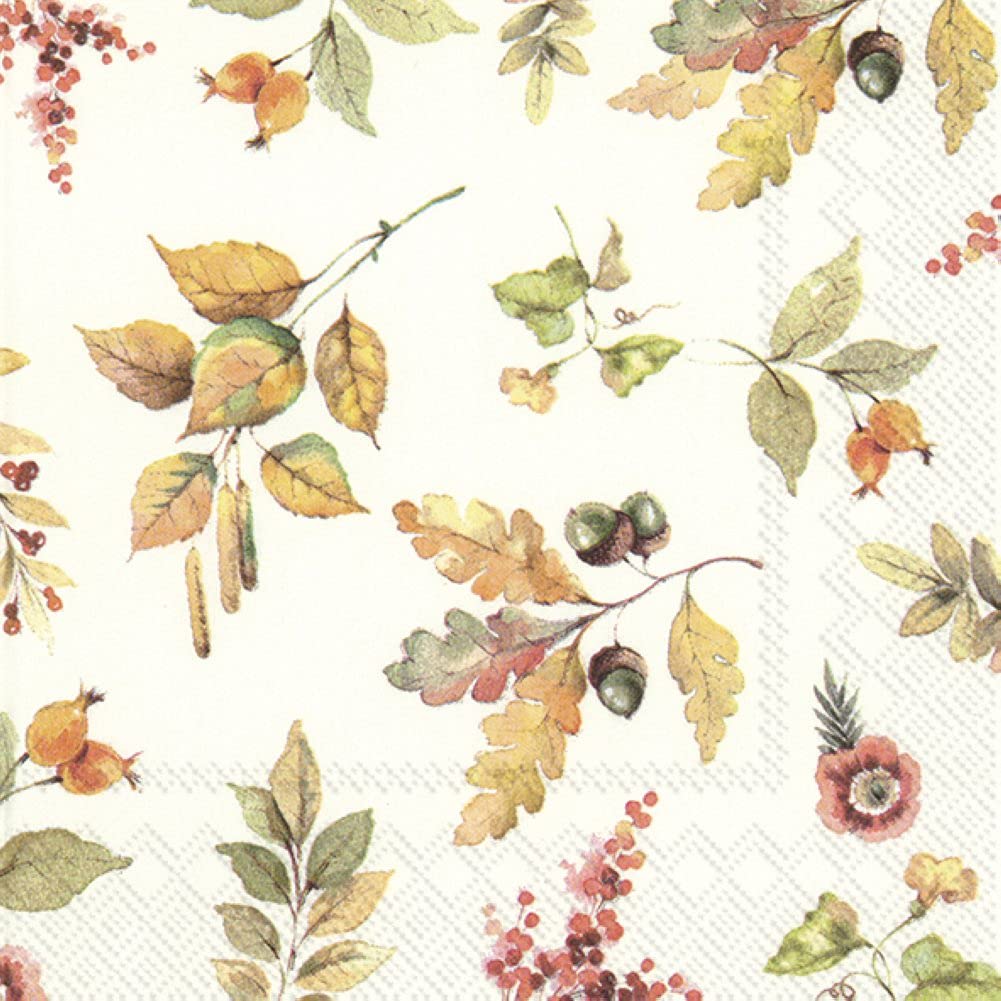 Boston International IHR 3-Ply Cocktail Beverage Paper Napkins, 5 x 5-Inches, Pumpkin Love Cream