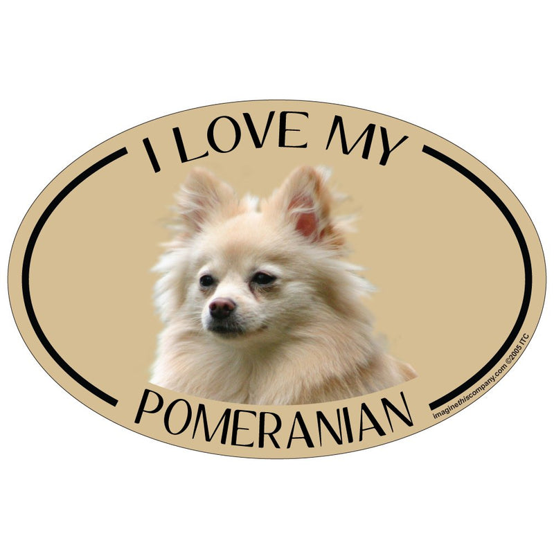 Imagine This Oval Magnet, I Love My Pomeranian