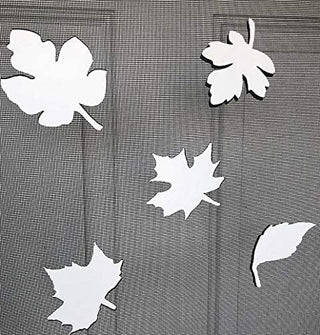DCentral Sticker Decal, 4" x 4", White