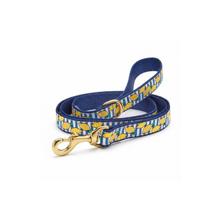 Up Country Leash