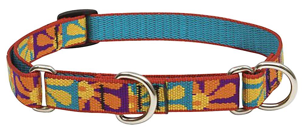 LupinePet Animal Collar