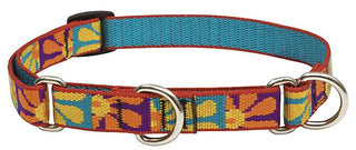 LupinePet Animal Collar