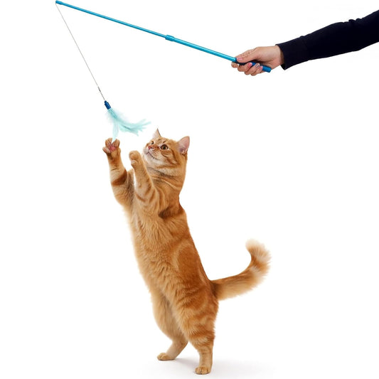 Worldwise SmartyKat Frisky Flyer Feather Wand