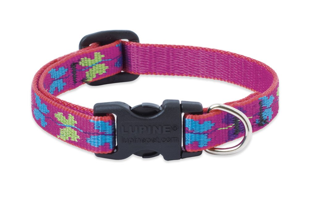LupinePet Animal Collar