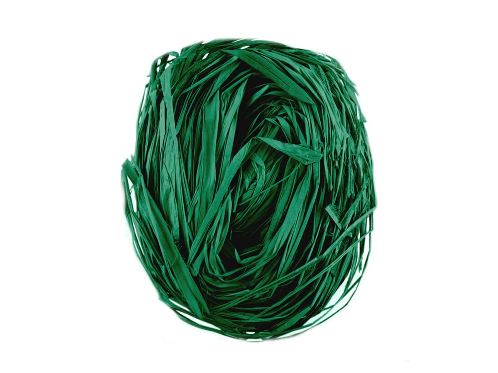 CRAFT DECOR Decorative Ribbon Trim, Medium, Green