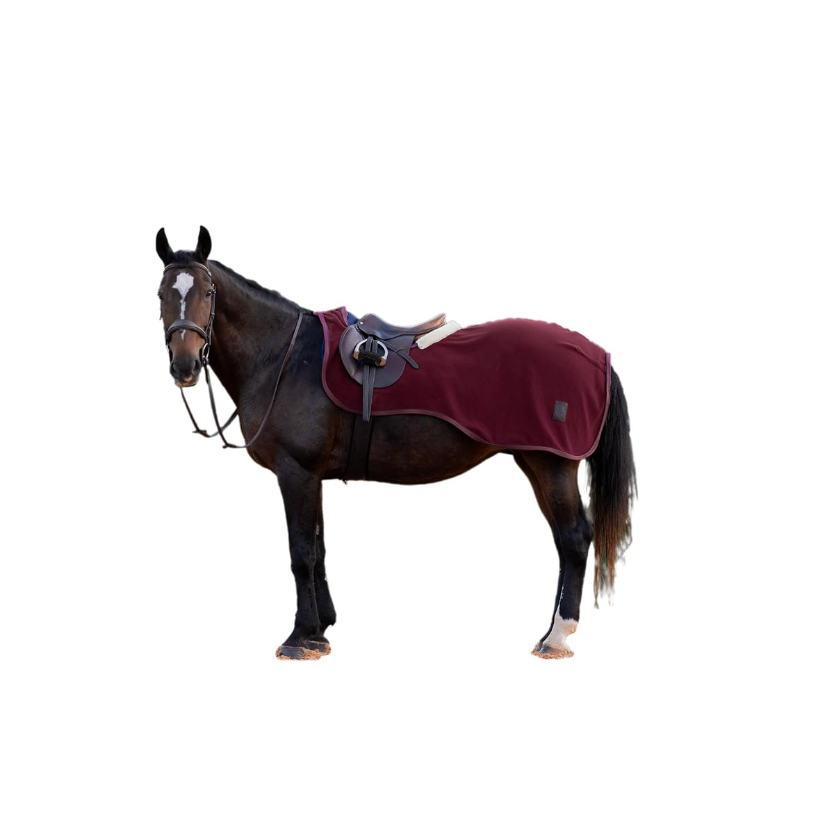 Equinavia Pet Supplies