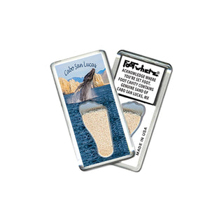 FootWhere Decorative Magnet, Small, Csl205 - Whale Watch