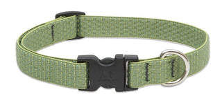 LupinePet Animal Collar, Collar - 3/4"W; 9-14" Neck, Green