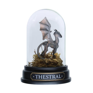 Enesco Snow Globe