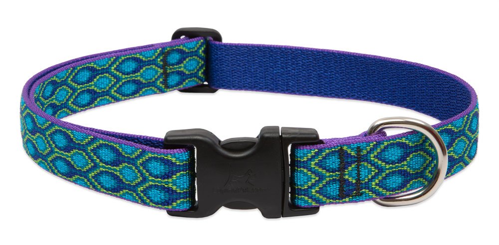 LupinePet Animal Collar, 1"W; 12-20" Neck, Blue