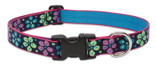 LupinePet Animal Collar, 1"Width; 12-20" Neck