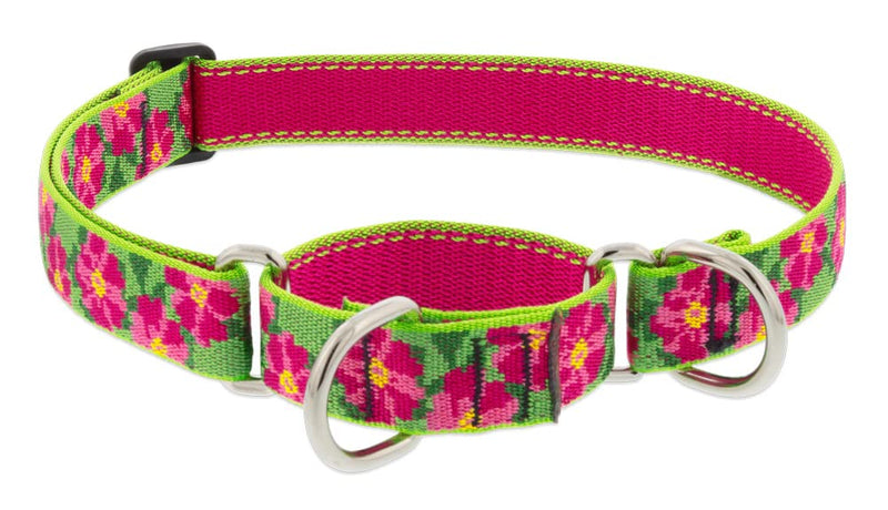 Lupine Martingale Dog Collar 1" Wide Petunias Adjusts from 15" to 22"