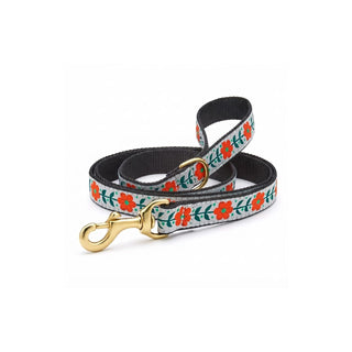 Up Country Leash