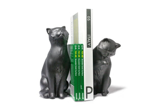 Danya B. Decorative Cat Bookend Set for Cat Lovers in Black, Great Gift for The Feline Fan Child or Adult, Home or Office Bookcases, Display Shelves or for Pet Store Owner or Groomer