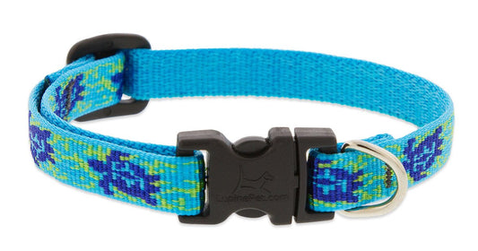 LupinePet Originals 1/2" Turtle Reef 10-16" Adjustable Collar for Small Dogs