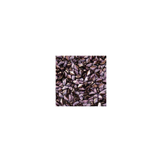 John Bead Craft Bead