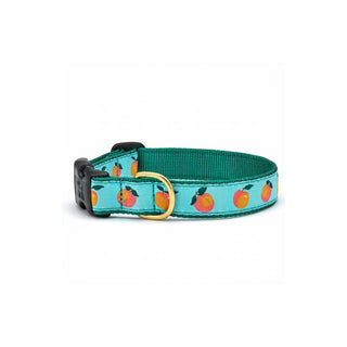 Up Country Animal Collar