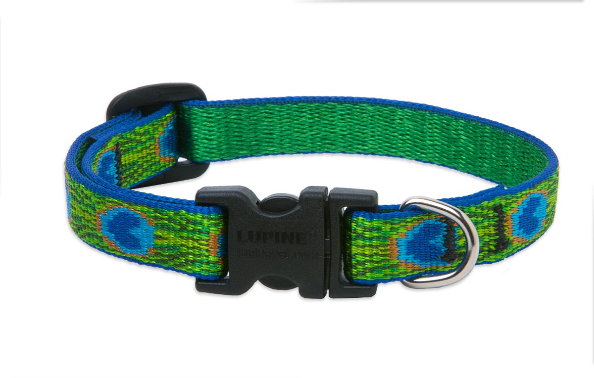 Lupine Pet Originals 1/2" Tail Feathers 8-12" Adjustable Collar for Small Dogs