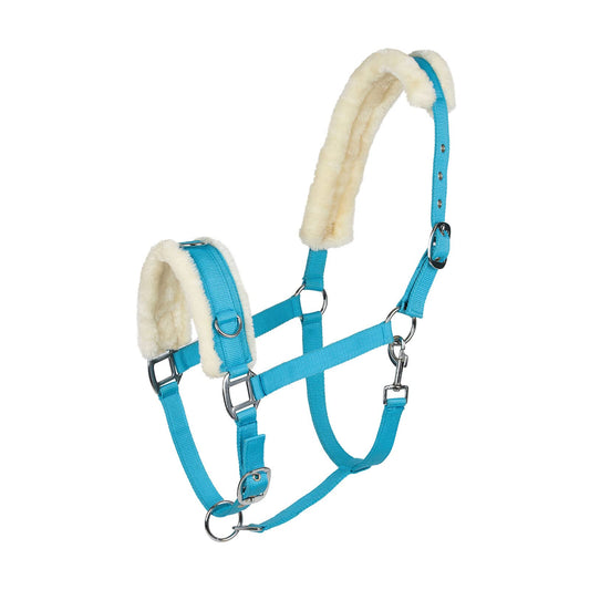 HORZE Lunging Cavesson - True Blue - Horse
