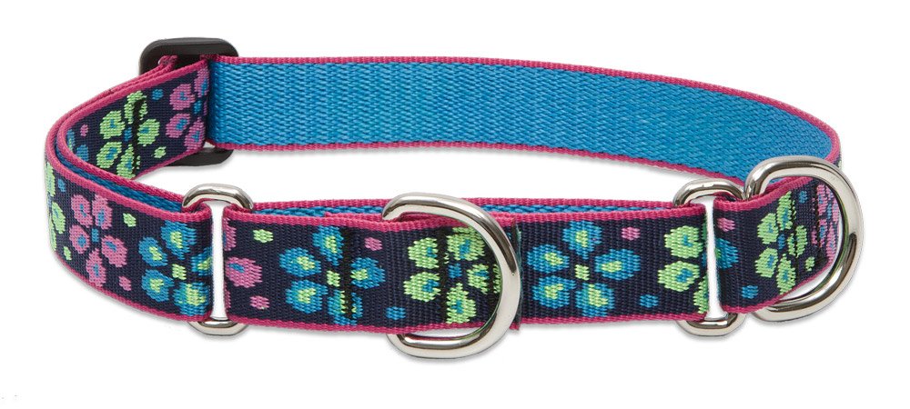 LupinePet Animal Collar, 1"W; 15-22" Neck, Black