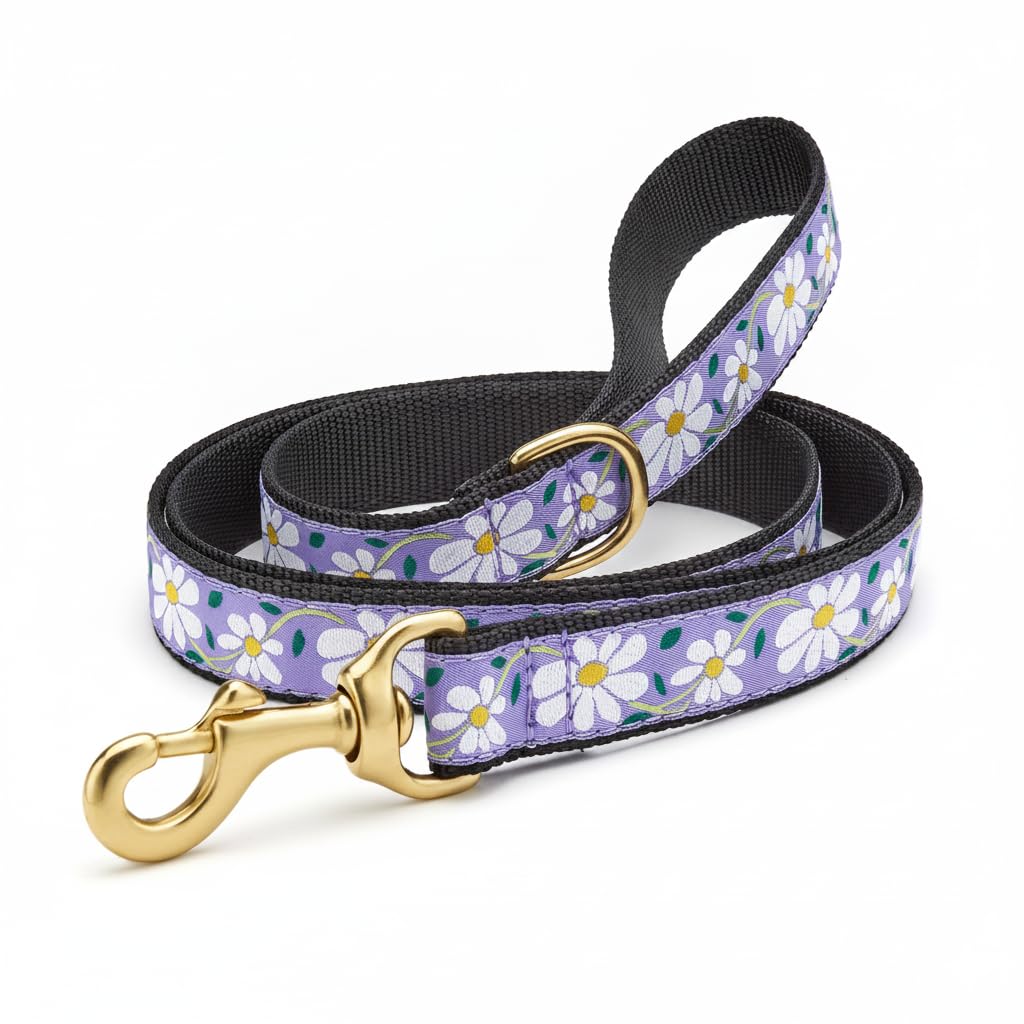 Up Country Leash, 1" width - Wide (5' Length), Daisy