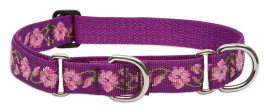 Lupine Pet Originals 1" Rose Garden 19-27" Martingale Collar for Large Dogs