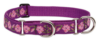 LupinePet Animal Collar