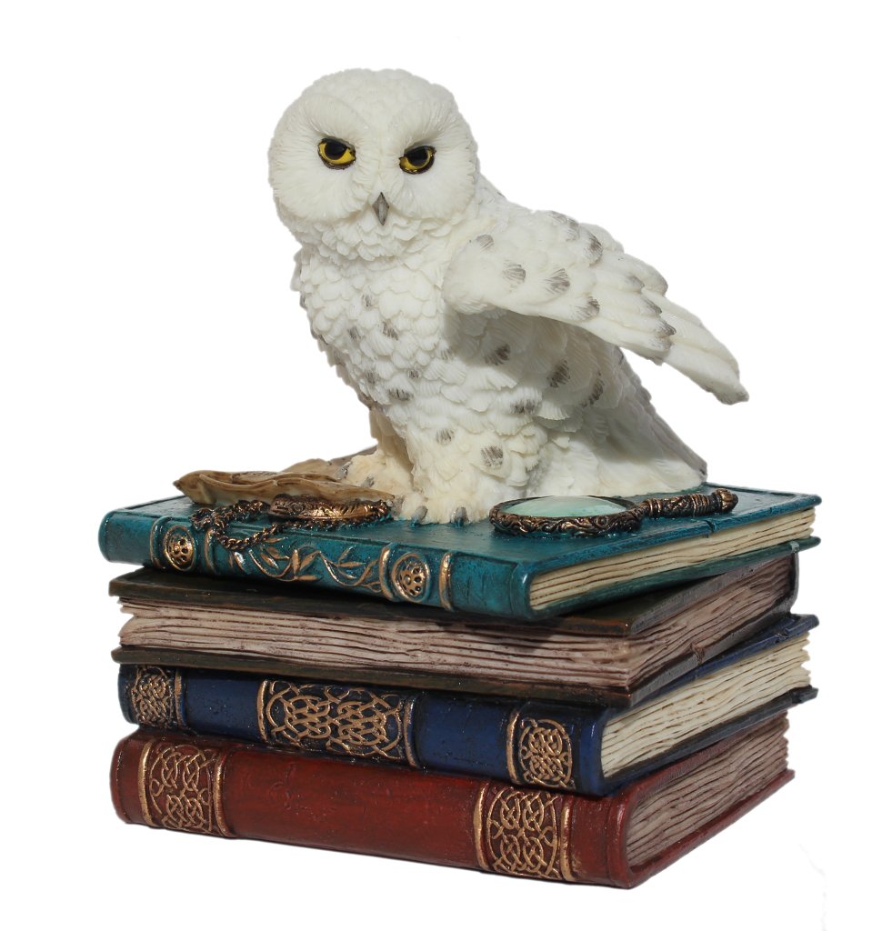 Unicorn Studio US 4.75 Inch Snow Owl Flap Wings on Books Trinket Box, White Color
