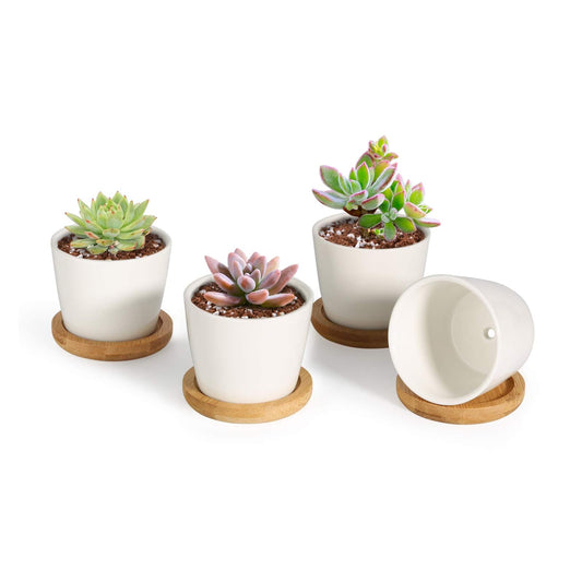 T4U Planter, Small, White