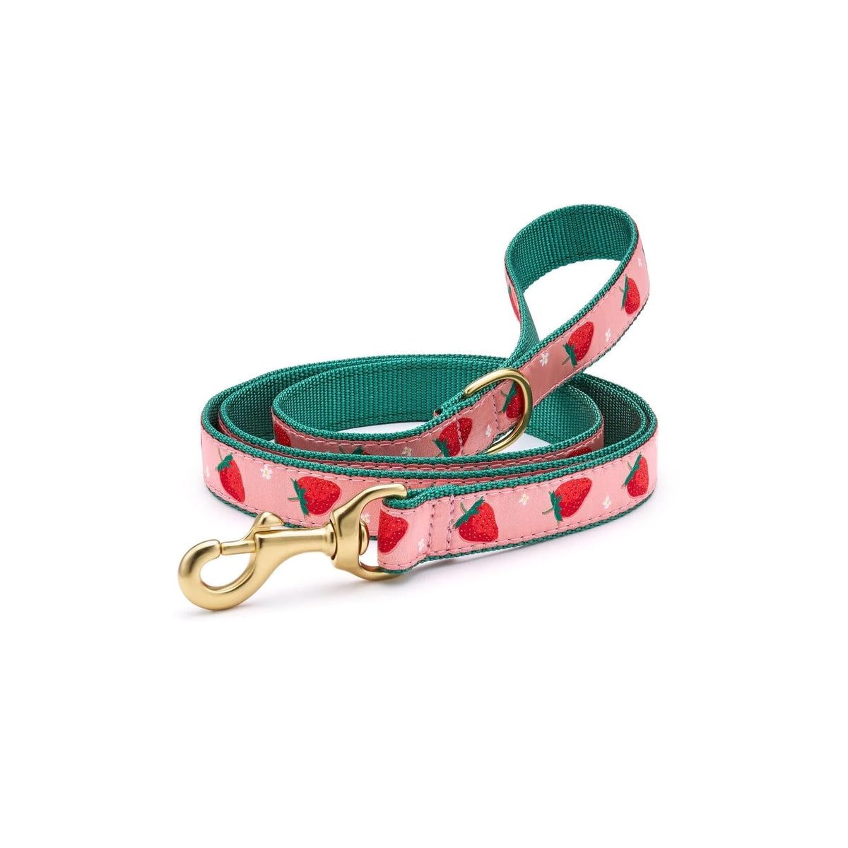 Up Country Leash