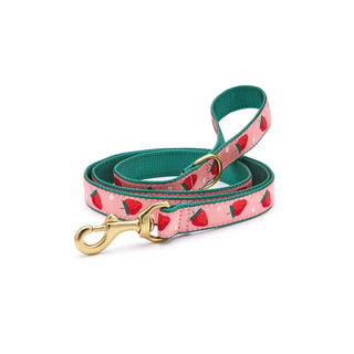 Up Country Leash