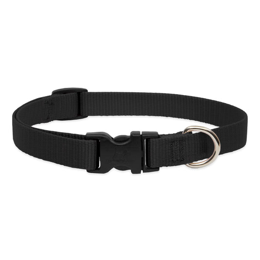 Lupine Pet Basics 3/4" Black 15-25" Adjustable Collar for Large Dogs